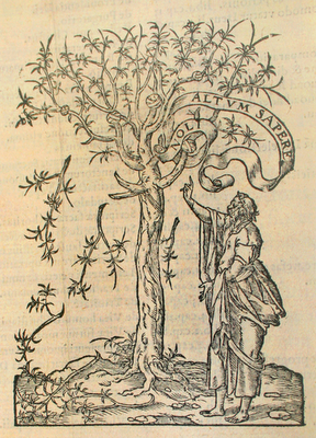 A fa, a könyv és Erasmus - Laudator temporis acti